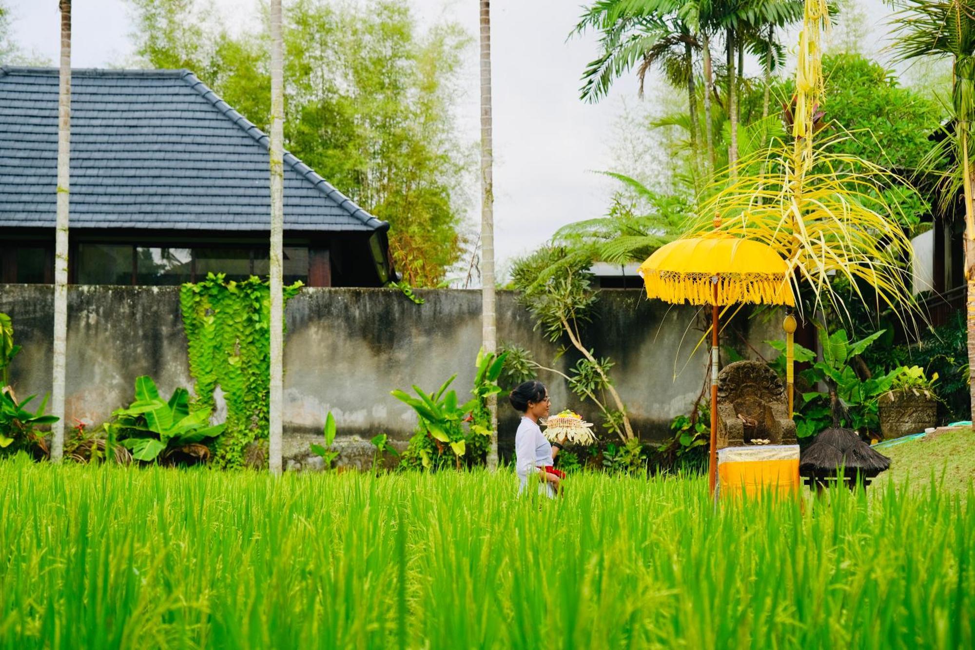 Wana Karsa The Villas Ubud Экстерьер фото